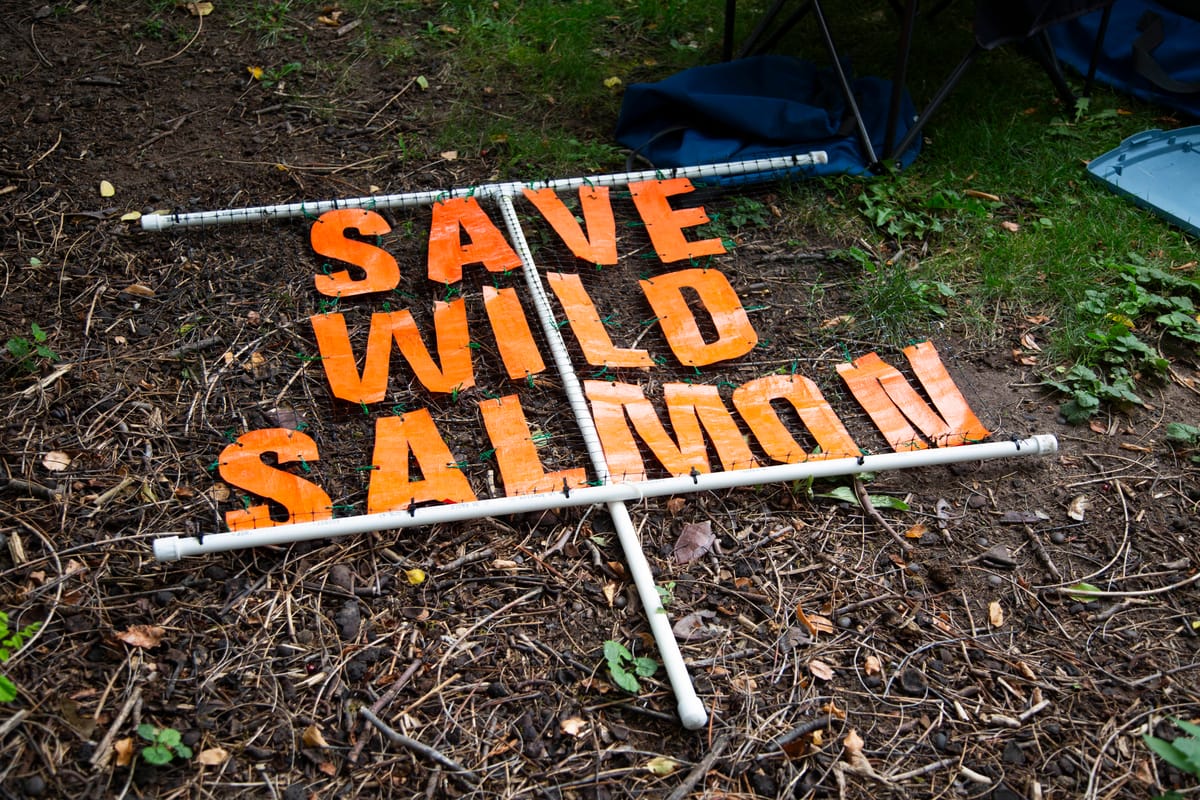 Tribes Condemn Trump for Backing Out of Columbia River Deal for Salmon Recovery